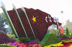 大理市政绿化常用苗木
